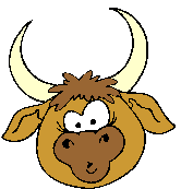 Confused Bull