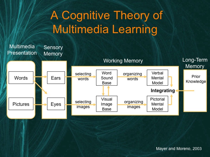 Cognitive Theory